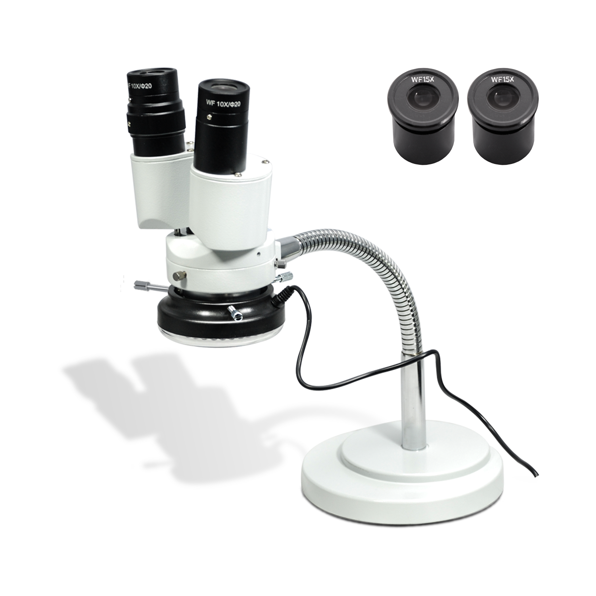 Stereo Microscope